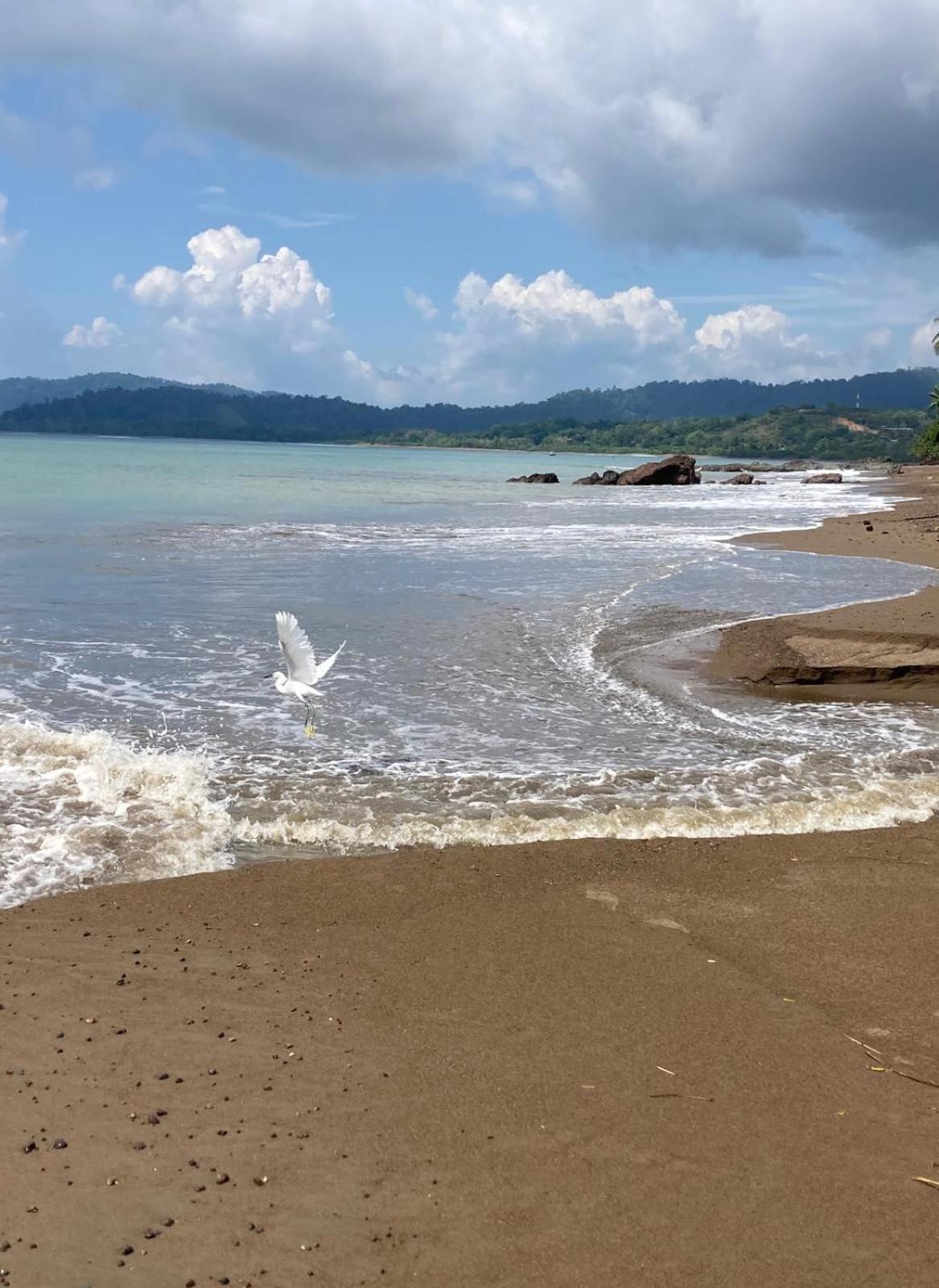Corcovado & Drake Inn Drake Bay Ngoại thất bức ảnh
