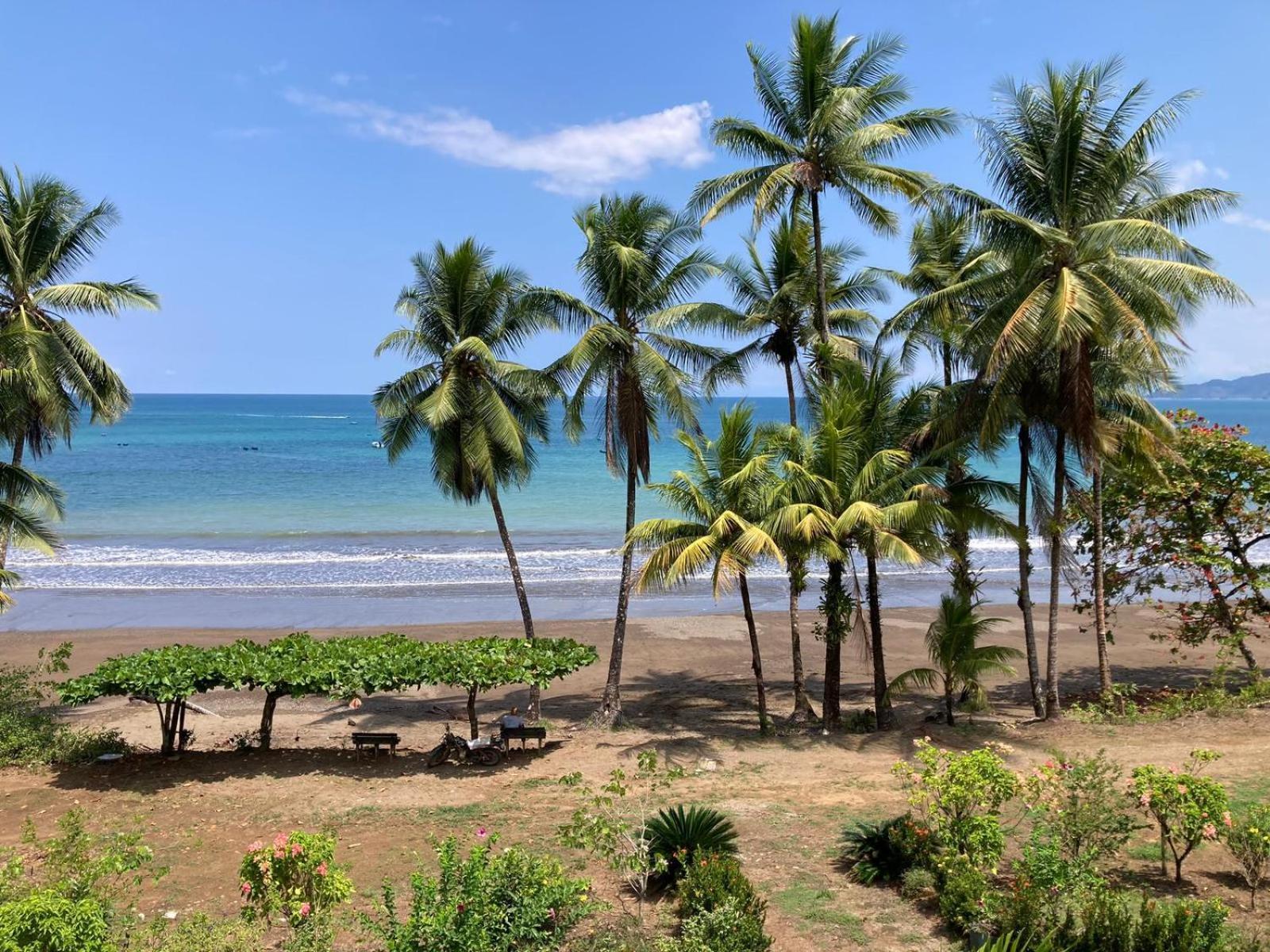 Corcovado & Drake Inn Drake Bay Ngoại thất bức ảnh