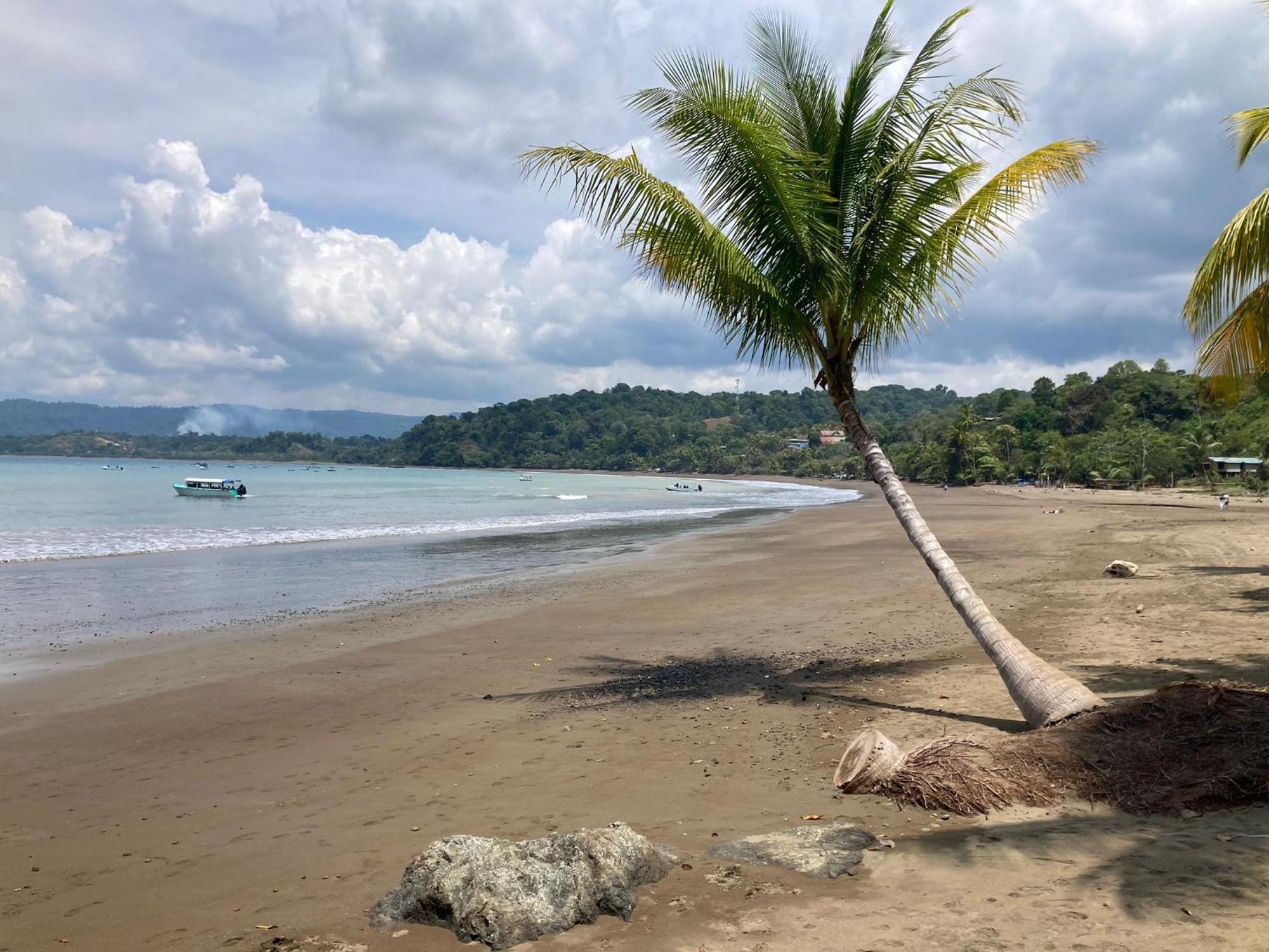 Corcovado & Drake Inn Drake Bay Ngoại thất bức ảnh
