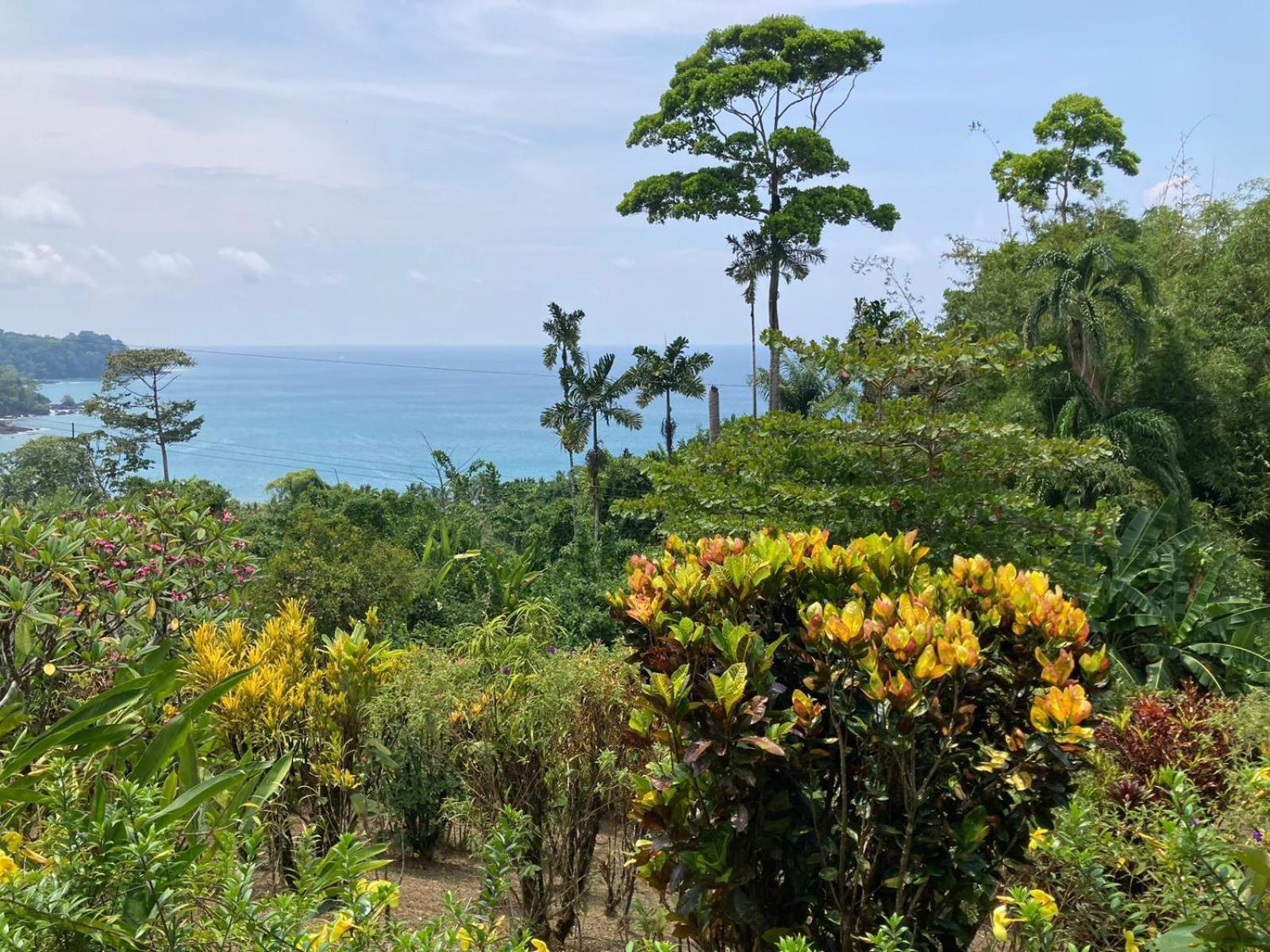 Corcovado & Drake Inn Drake Bay Ngoại thất bức ảnh